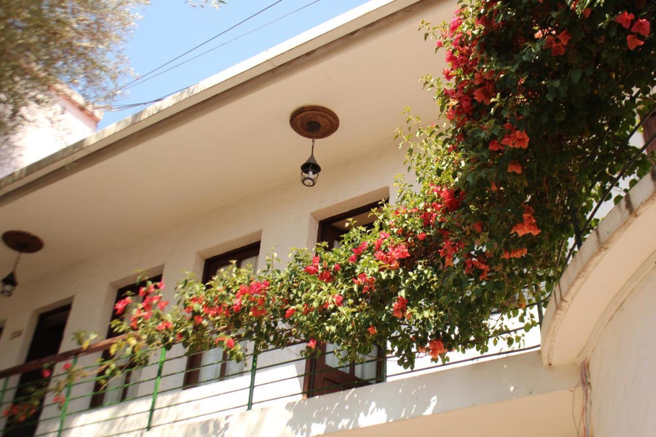 Hostal Viejo Olivo Sucre Exterior foto