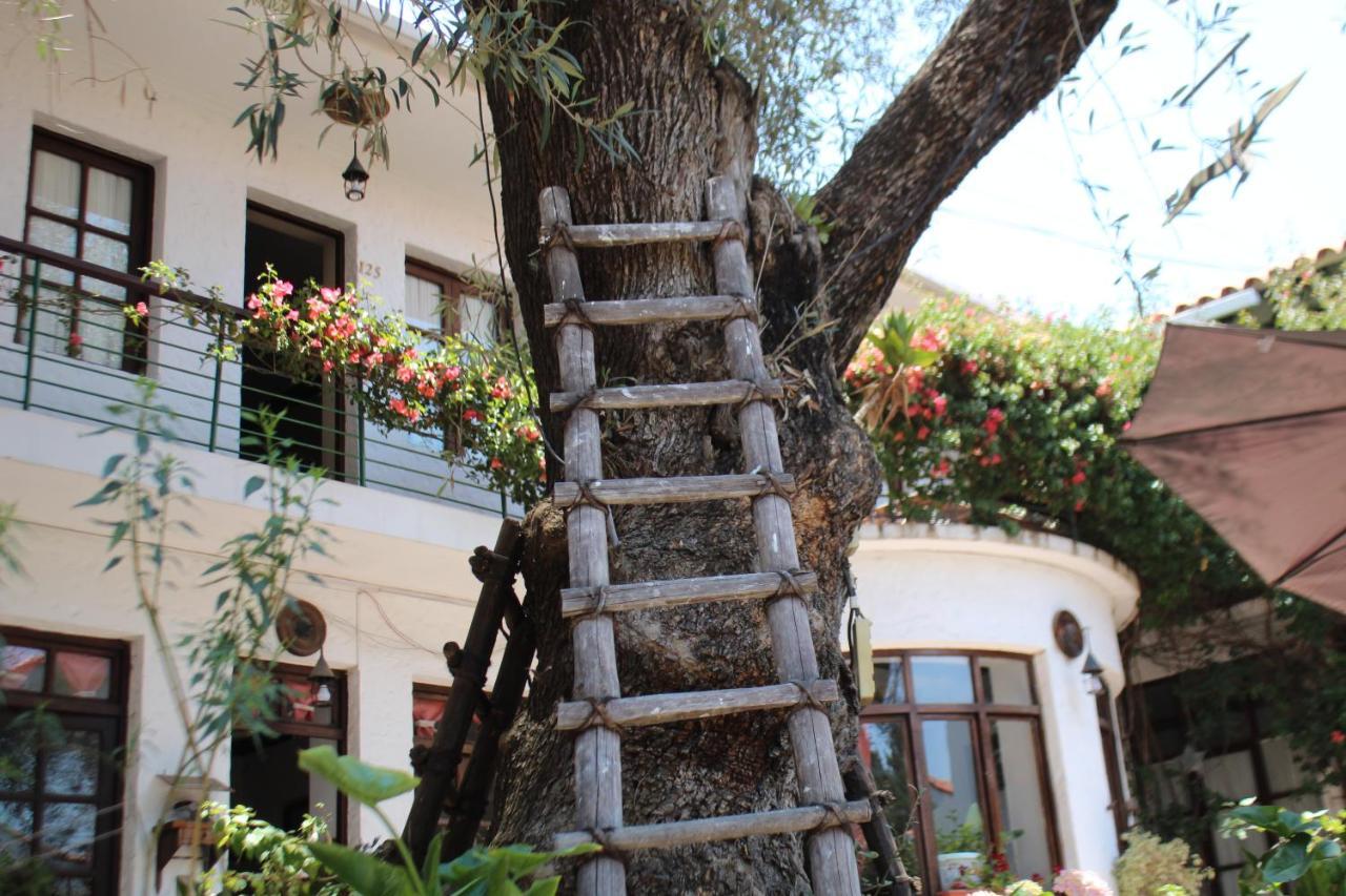Hostal Viejo Olivo Sucre Exterior foto